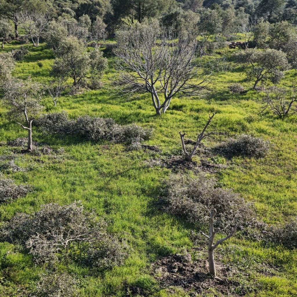 Pusholder tweet media