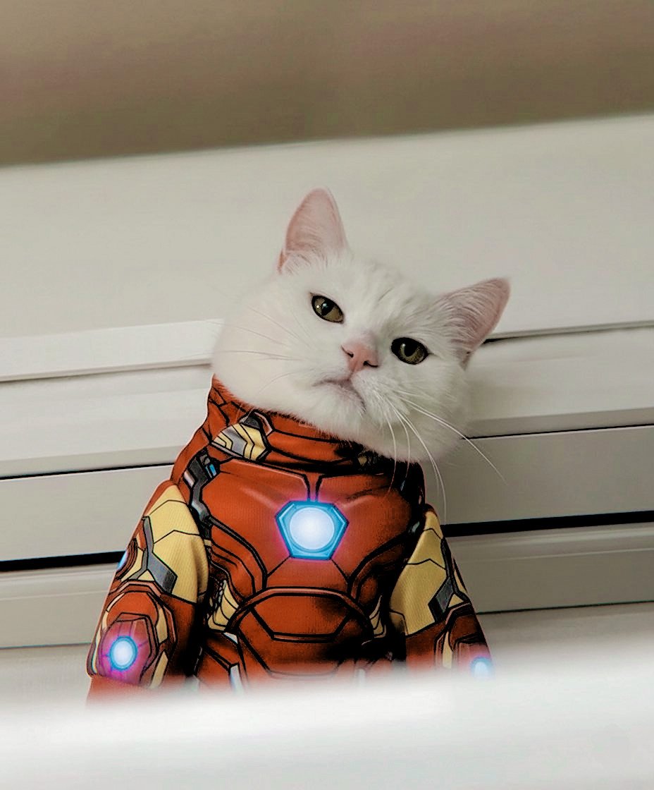 𝐭𝐨𝐧𝐲 𝐬𝐭𝐚𝐫𝐤 tweet media