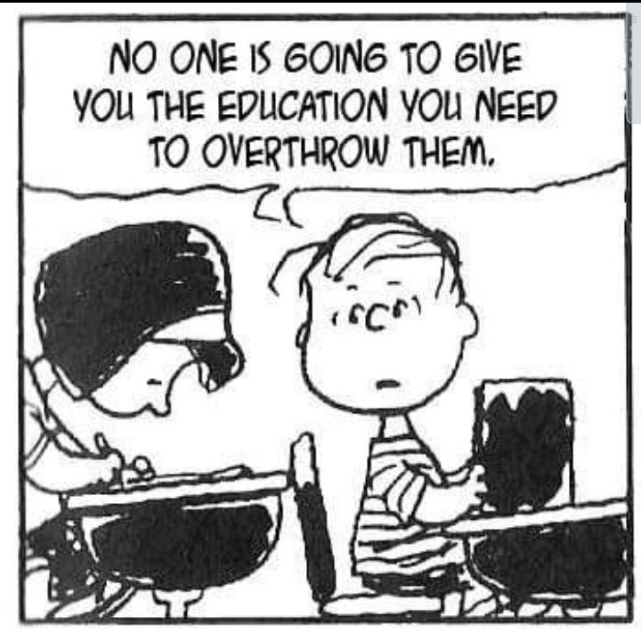 dark ages tweet media