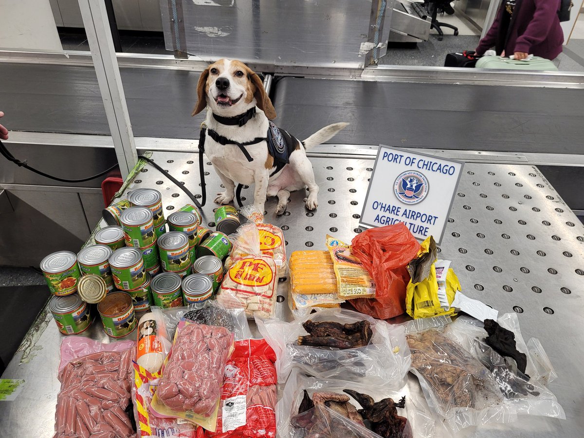 Rabbi Kamile🐙 tweet media