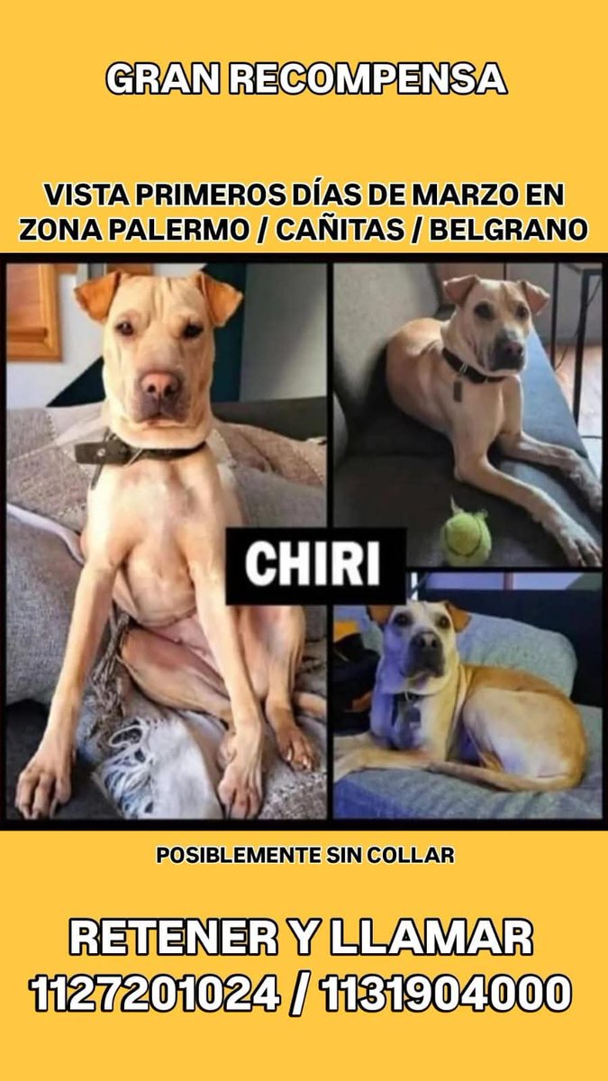 @Tabyta52/20🇦🇷🇪🇦🇺🇦🇮🇱💙💙💙 tweet media