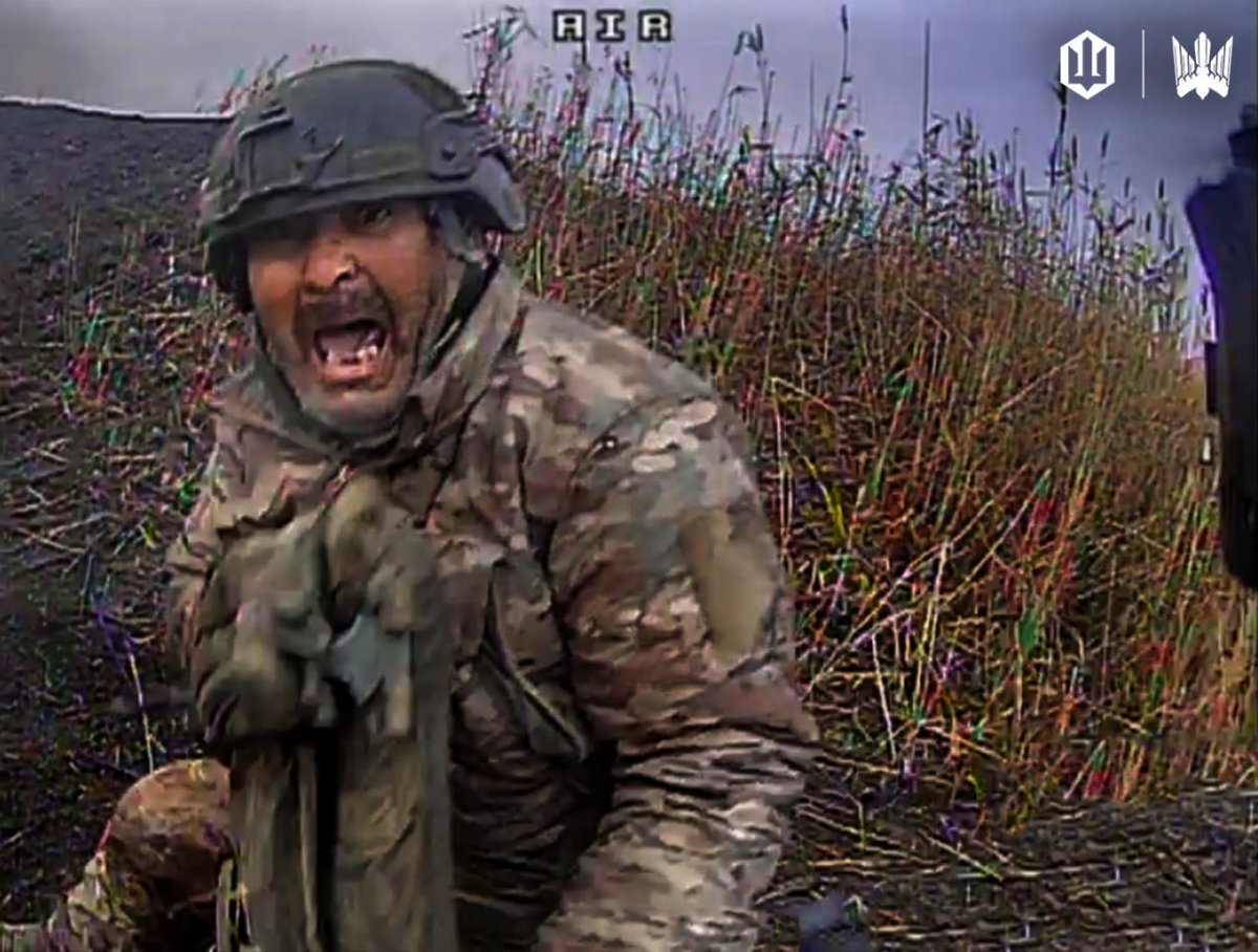 Niko Belik tweet media