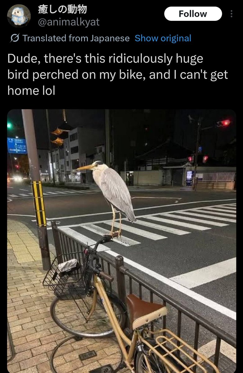 Venom Rach ☧ tweet media