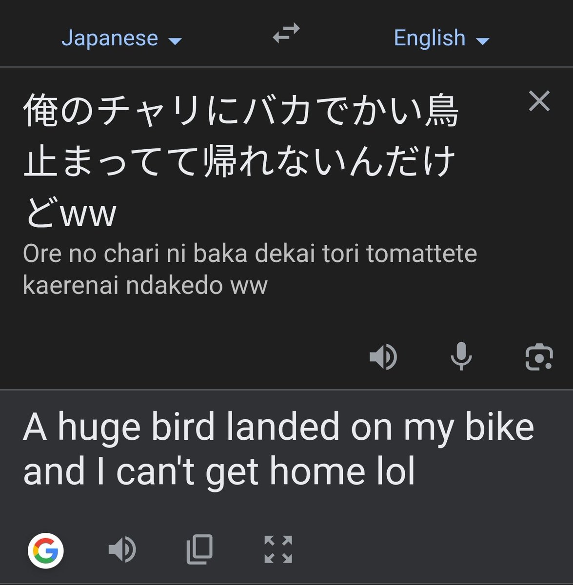 Venom Rach ☧ tweet media