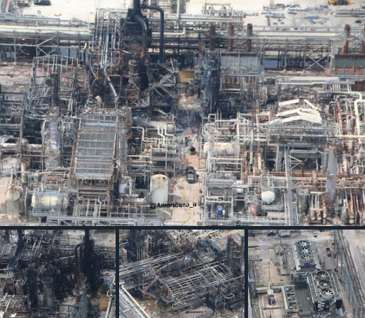 طناز ارجمند tweet media