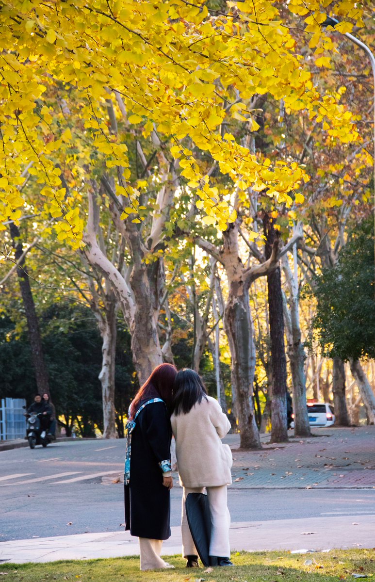 omar omar tweet media