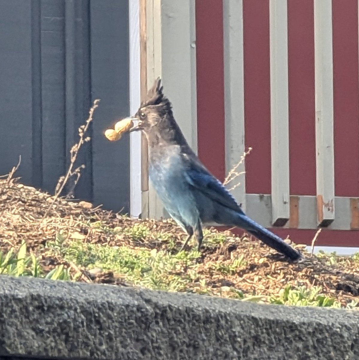 Dr. Dad, PhD 🔄🔼◀️🔽▶️ tweet media