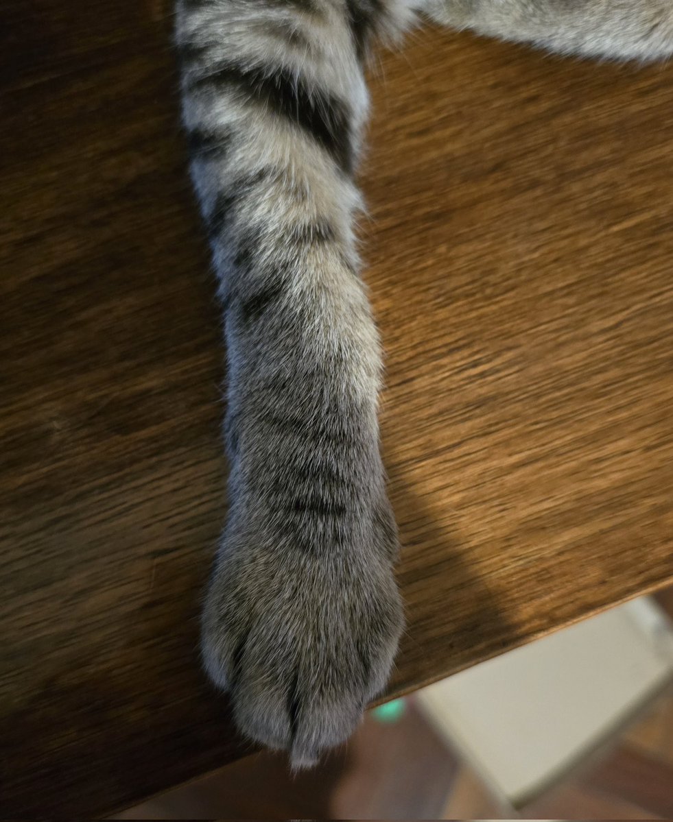 Devaluada tweet media