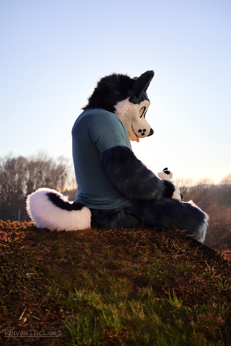 Passam2137's tweet photo. Conventions are fun, but for now it's time to go back to daily responsibilities

📸: @RaivenLion 
#Fursuitfriday https://t.co/DLfboO4Oon