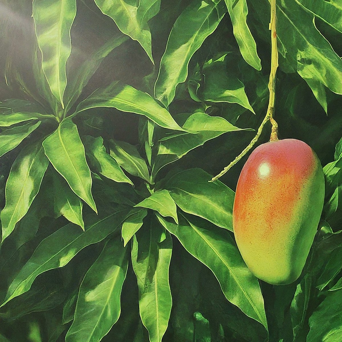 Paattali Magan/பாட்டாளி மகன் tweet media