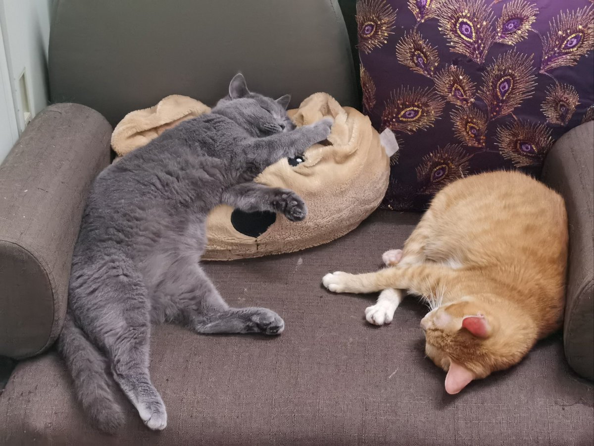 김종욱 tweet media