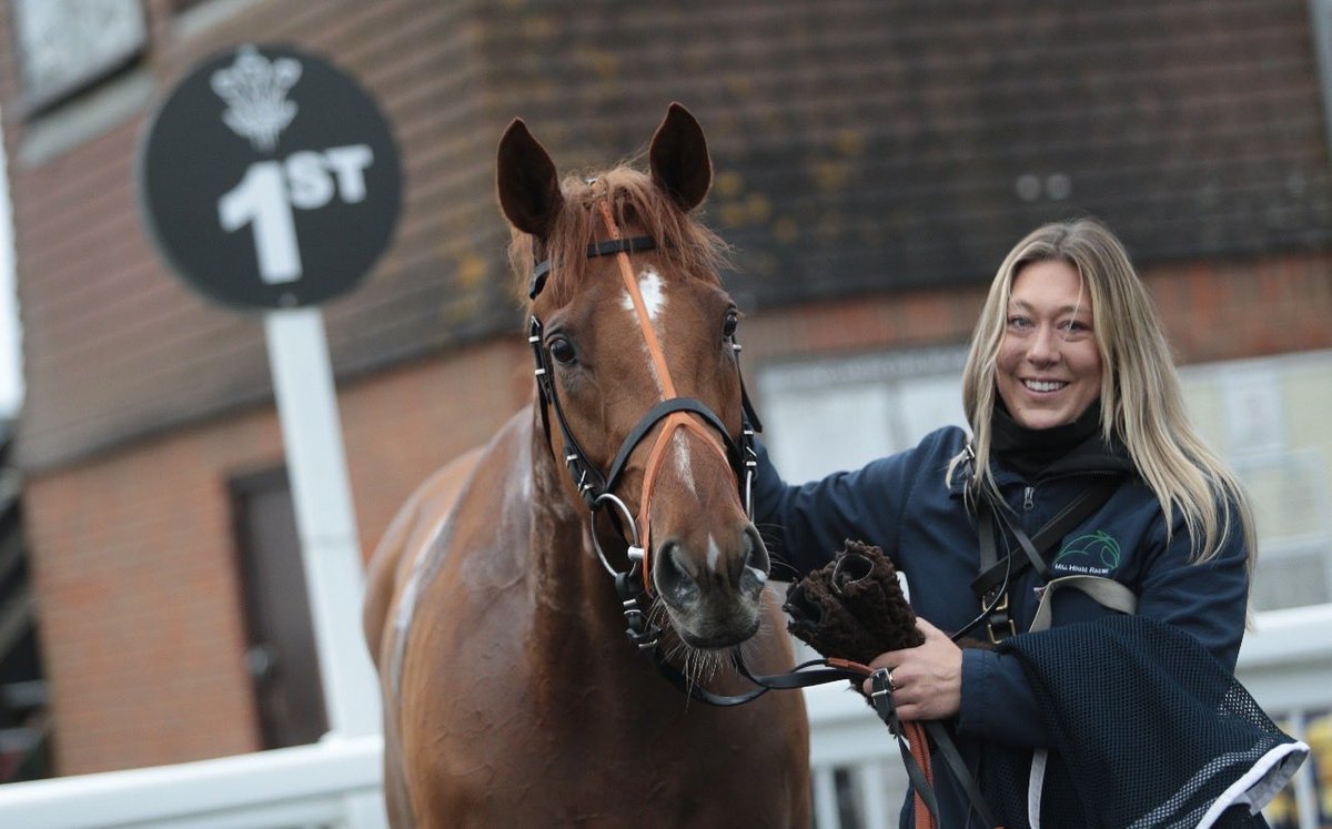 Lingfield Park tweet media