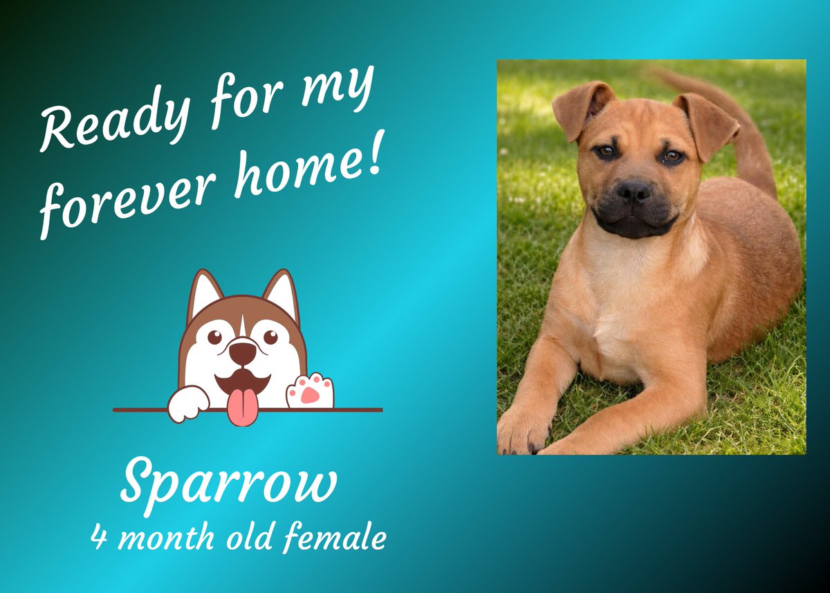 K-FROG Radio tweet media