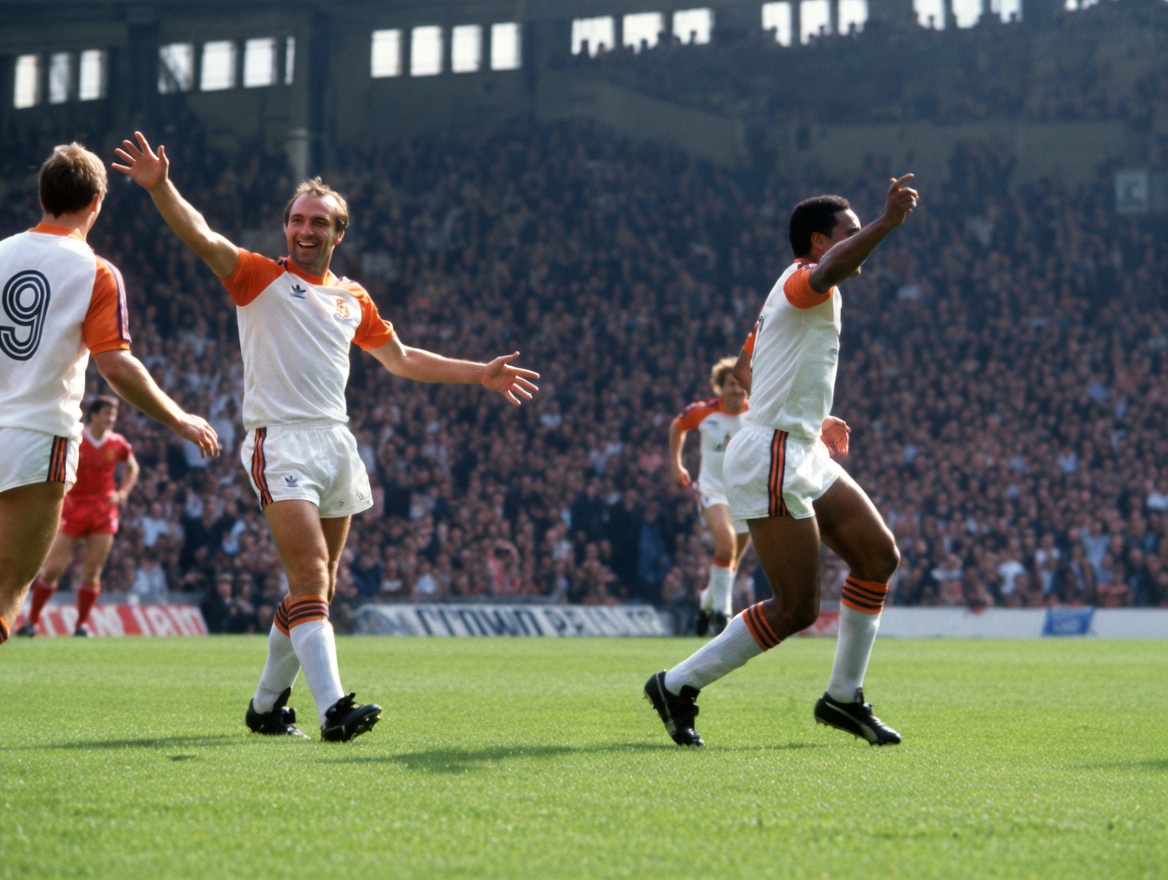 Lutonvids tweet media