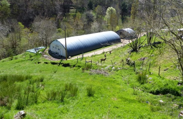 Cameron20370744's tweet image. PREMIÈRE DECOUVERTE D UN ÉLEVAGE FROMAGERIE BIO 

Soutien, #solidarité et gratitude avec ceux qui ont commencé à reconstruire la #Terre et l'humanité...

La #ferme #élevage-fromagerie  #bio " Biquettes et Filles" que j'ai découverte ce matin était ma première visite de ce