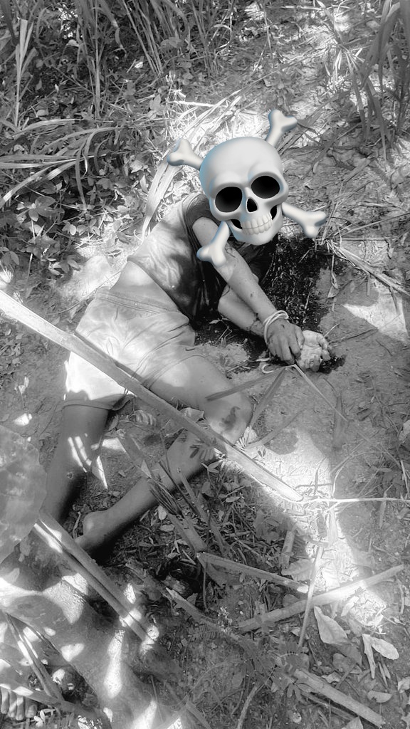 A Cupula Da Milicia JPA tweet media