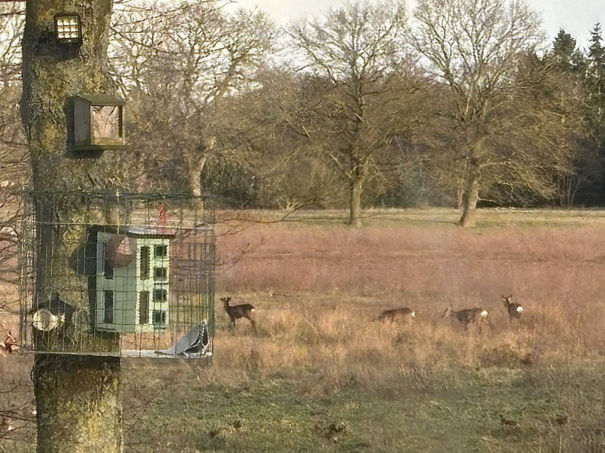 Henrique, ex-minister van Twit. 🇵🇹🇳🇱 tweet media