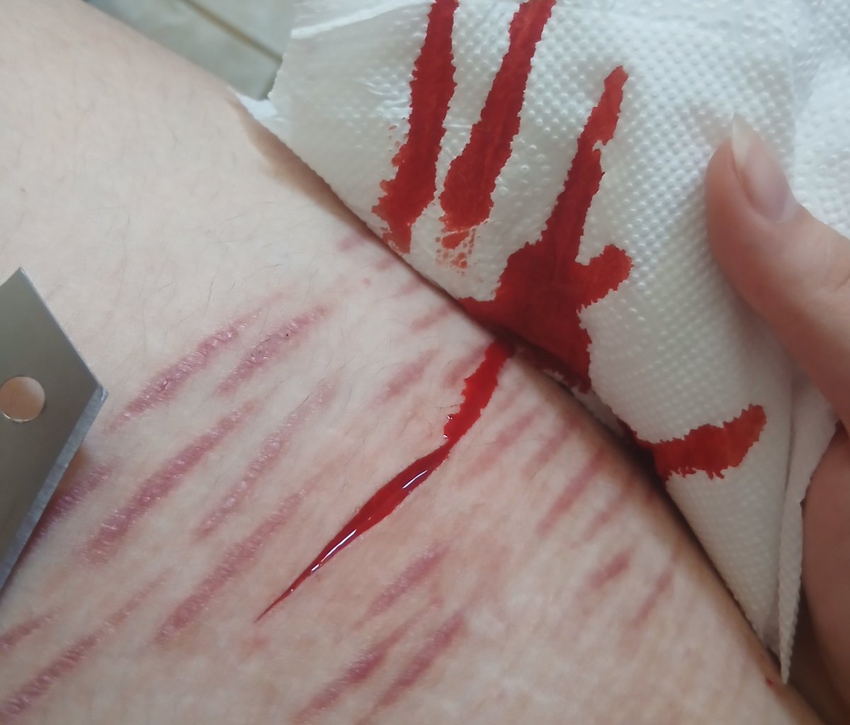 Cherry 🍒 𝕊ℍtwt 𐔌՞ ܸ.ˬ.ܸ՞𐦯 tweet media