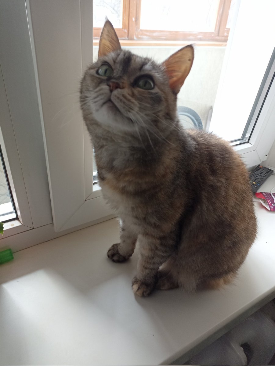 Angello3400 🥷 tweet media