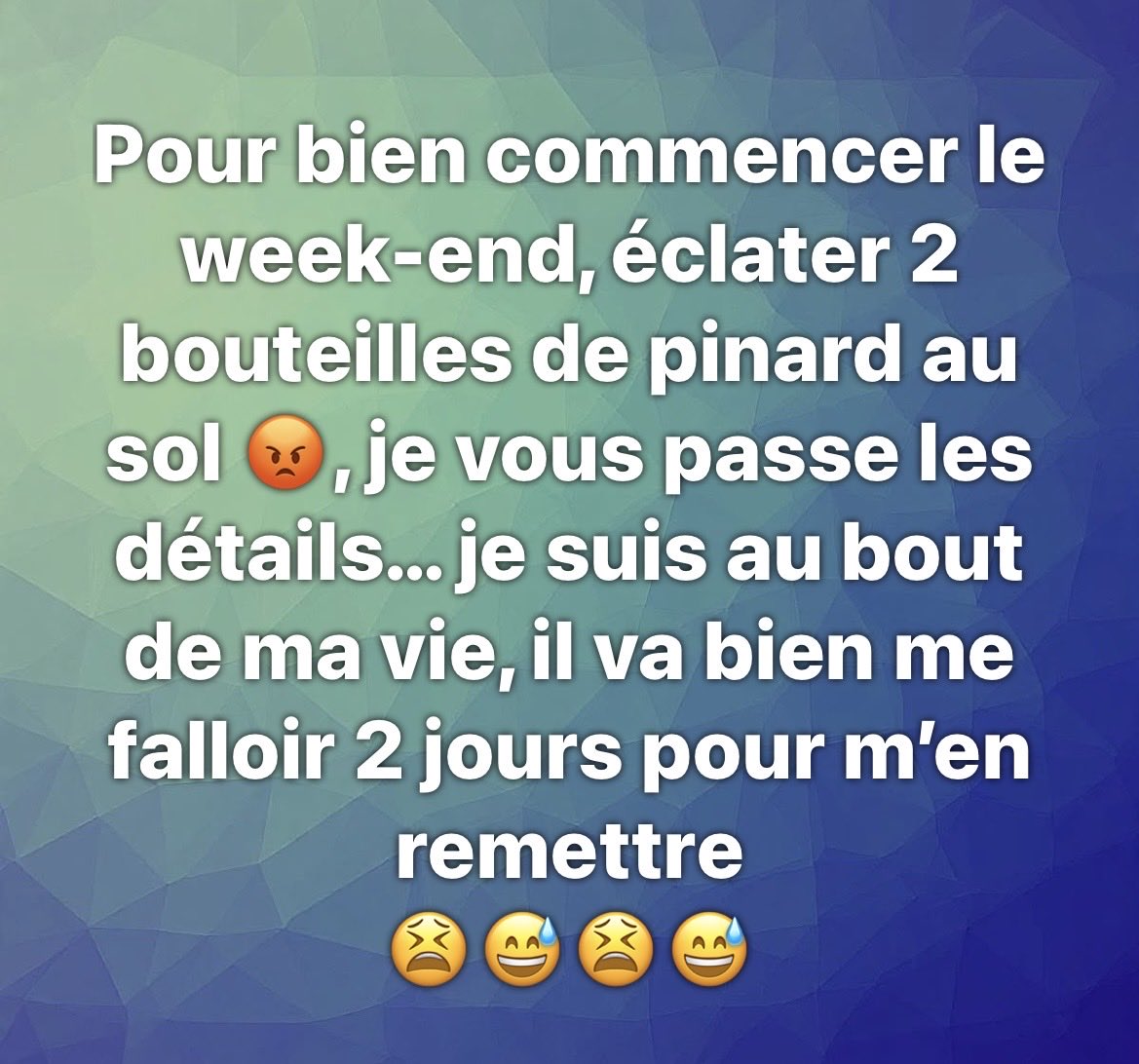 Ludo🌺☀️🦜 tweet media