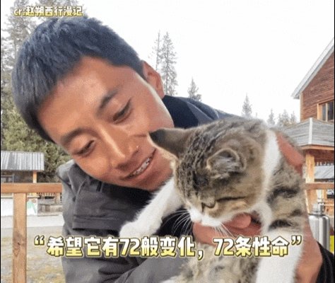 Moszkva Margera tweet media