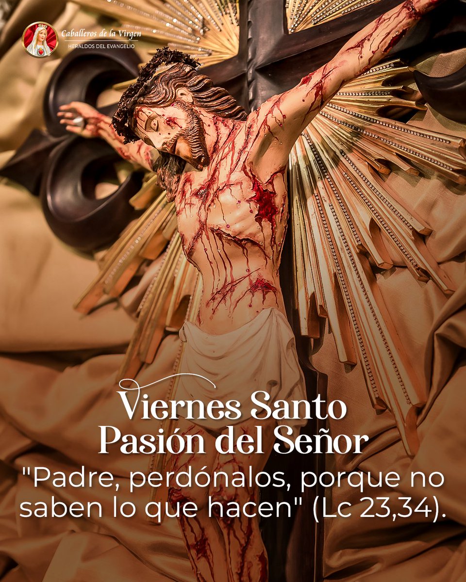 Cab_Ecuador's tweet photo. ¡Buenas Noches!

Al finalizar este Viernes Santo, le invitamos a rezar al pie de la Santa Cruz.

Coloque sus intenciones y comparta con quienes ama.

#caballerosdelavirgenecuador #caballerosdelavirgen #heraldosdelevangelioecuador #virgendefatima https://t.co/swSQeYOj9q