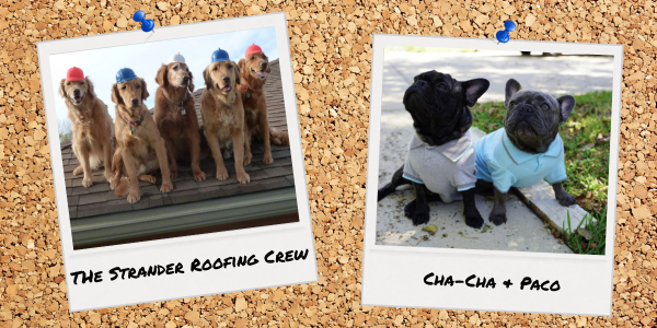 MetalCoffeeShop tweet media