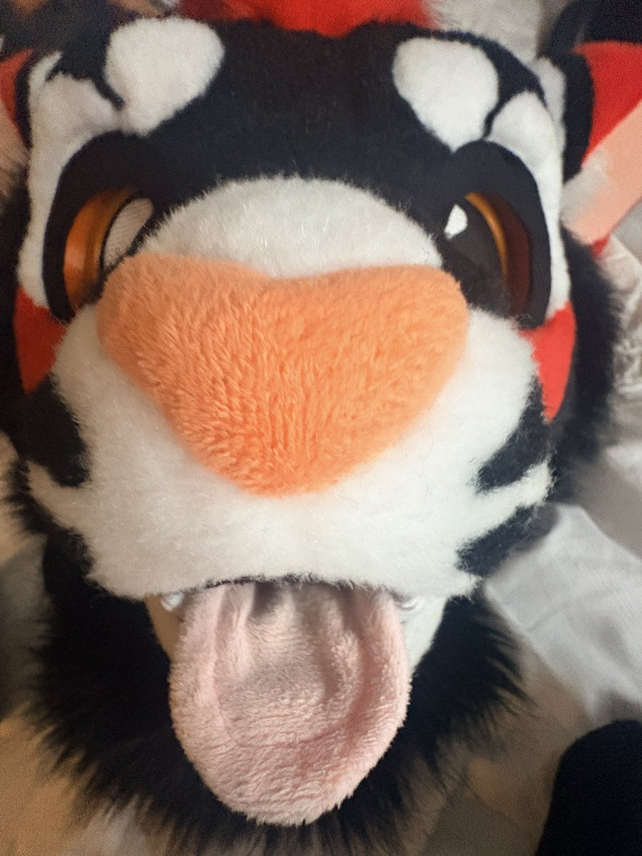 Vaxxe 🔜 TFF tweet media