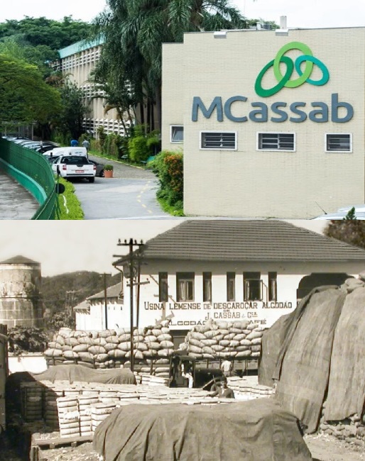 CCBL Câmara Brasil-Líbano tweet media