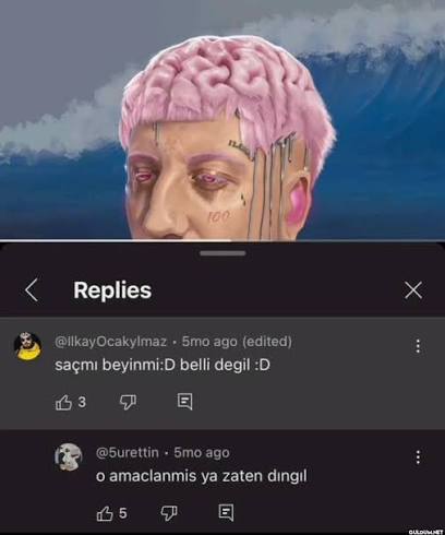 angaralı sara 🐺 tweet media