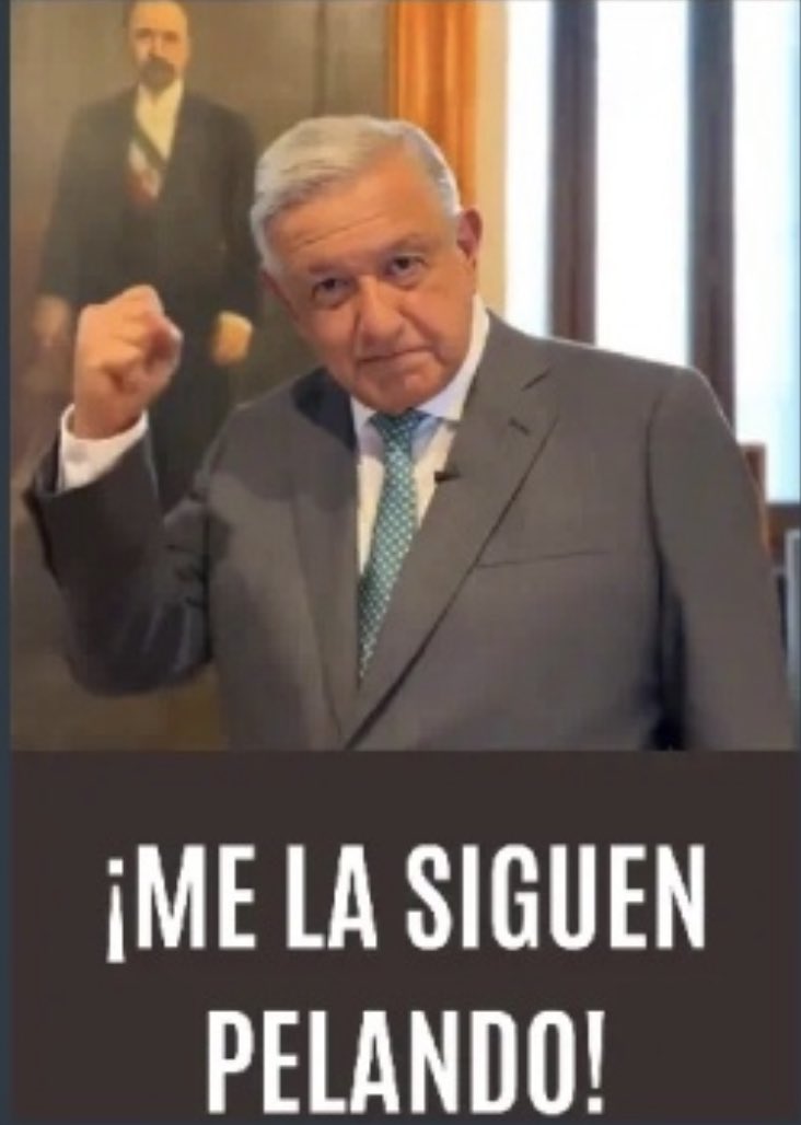 beekeeper20 tweet media