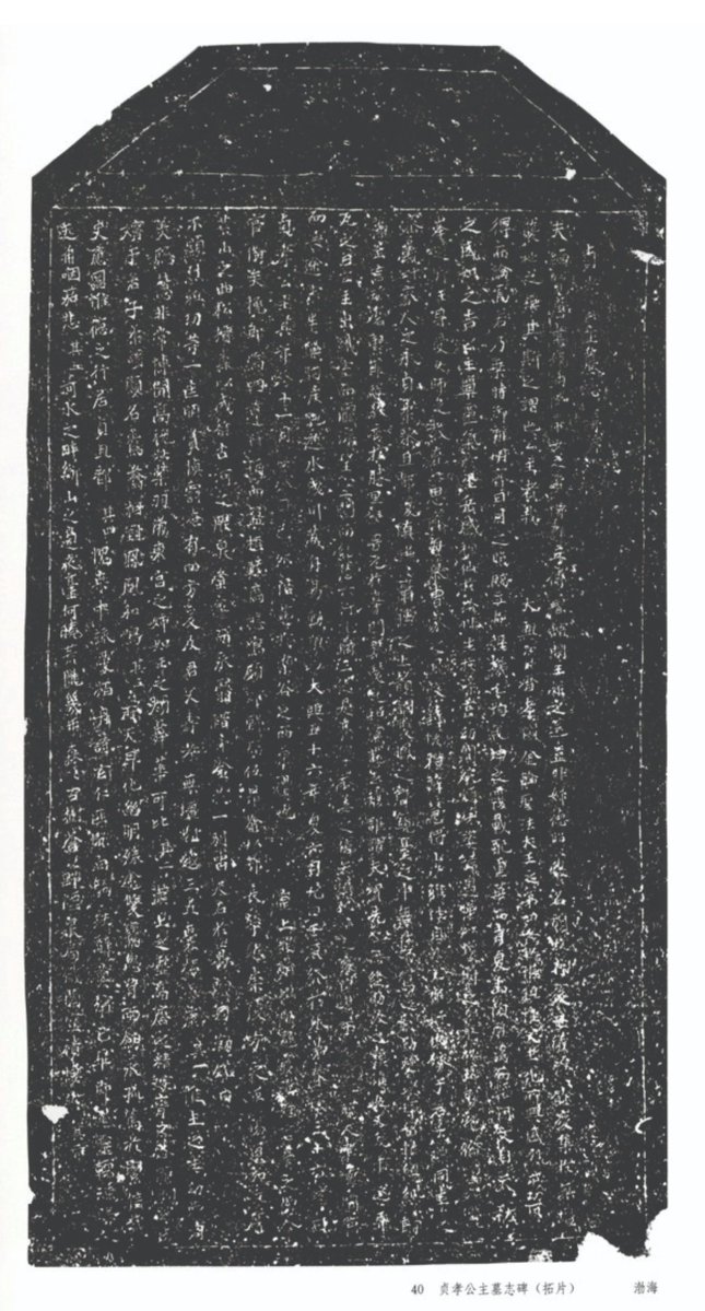 V.Vans•獾郎🦡 tweet media