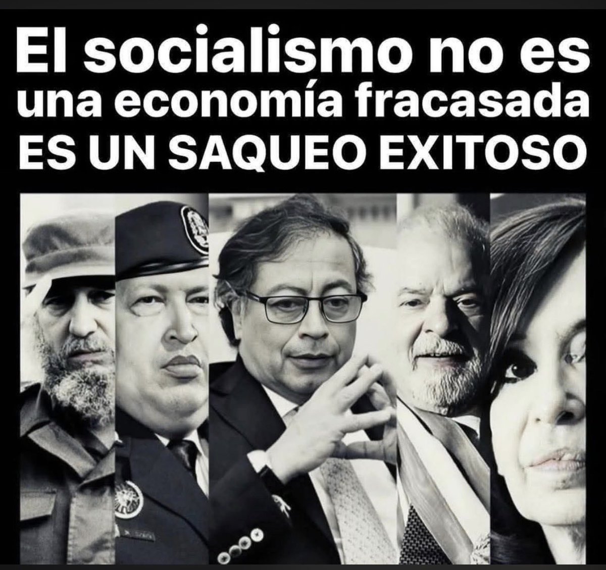 Miroslava Nevo tweet media