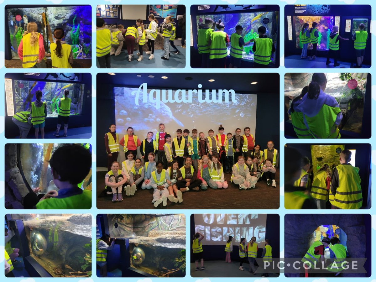 Oak Class - GSP tweet media