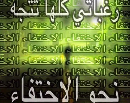 Instagram User tweet media