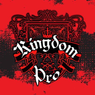 👑 KINGDOM PRO 👑 tweet media