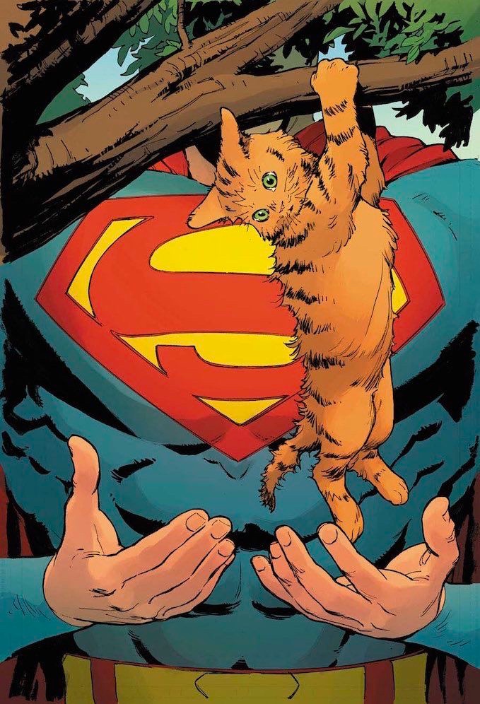 Superman Folder tweet media