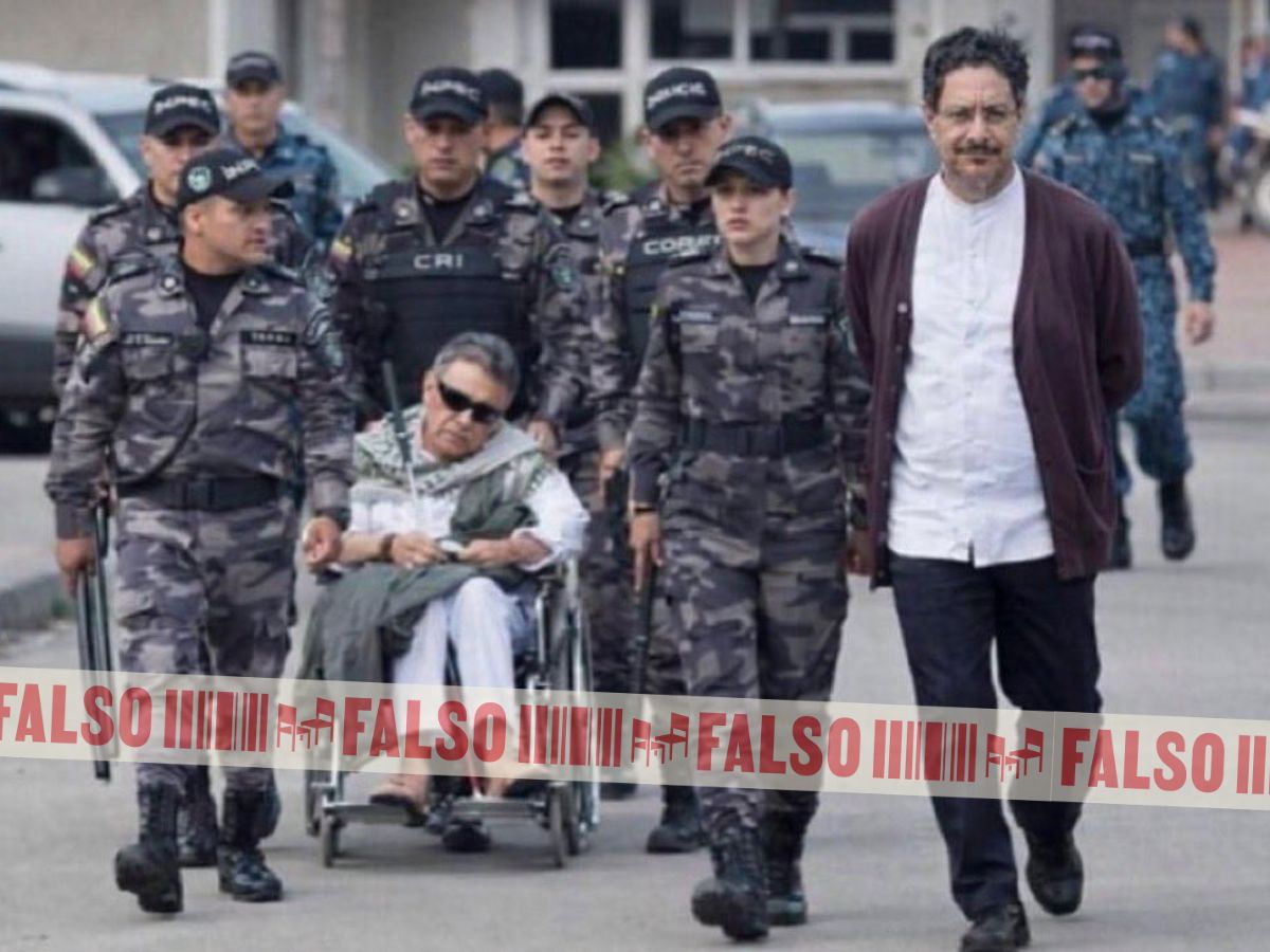 Angel M. tweet media