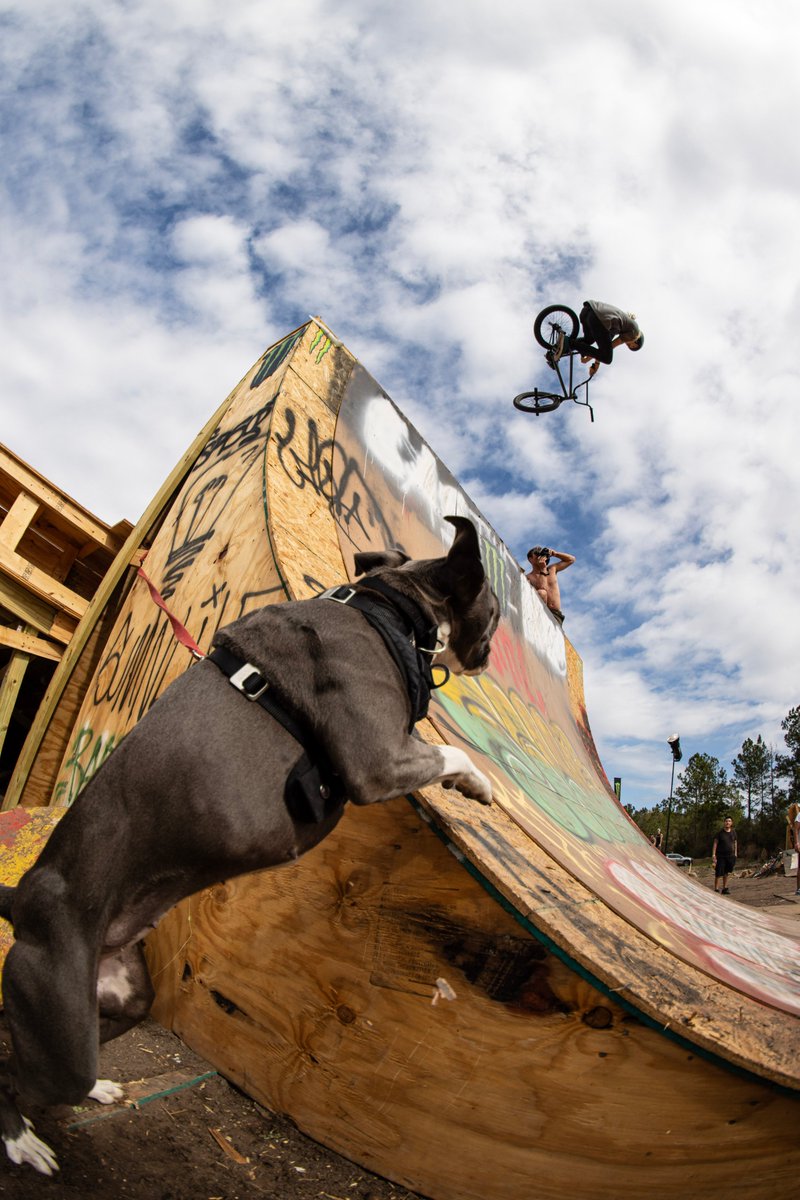 Profile Racing tweet media