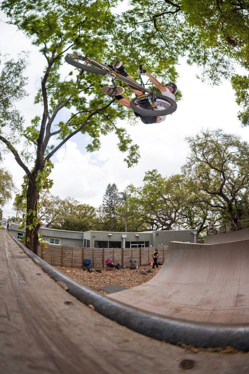 Profile Racing tweet media