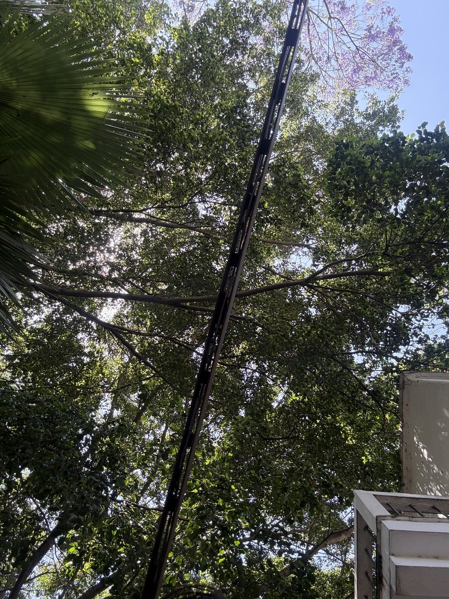 Foguis al-Gaib tweet media