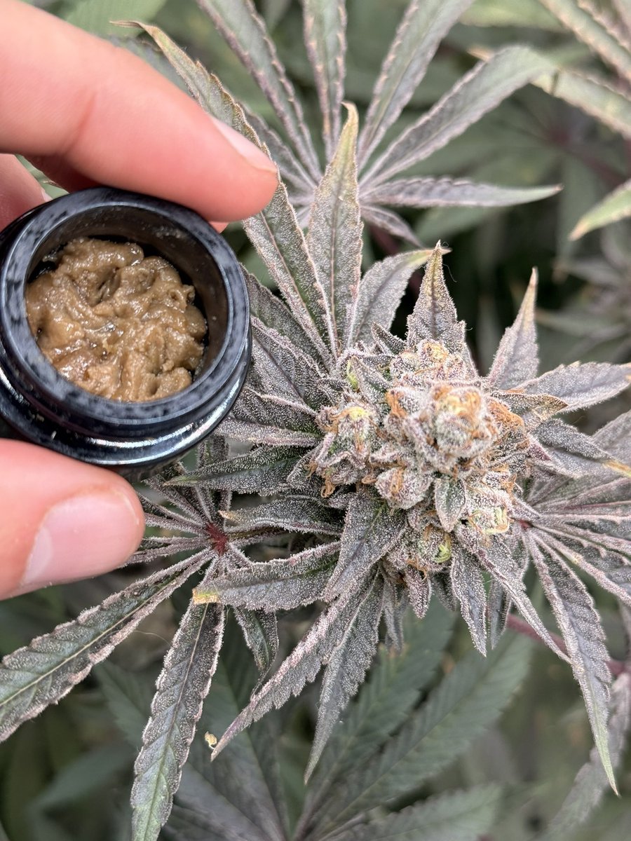 4 real my G tweet media