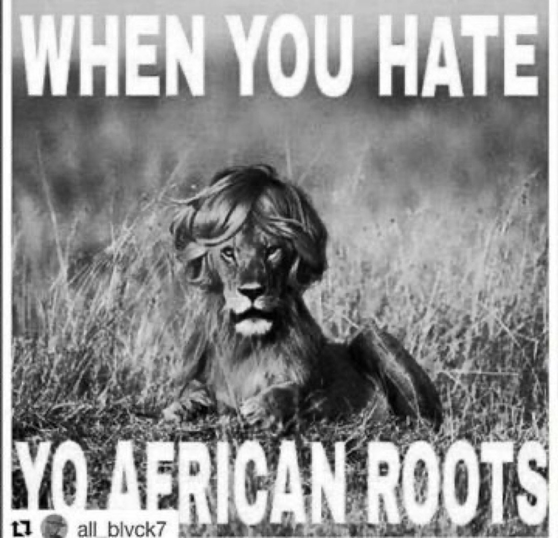 Tommy 'Tj' Sotomayor tweet media