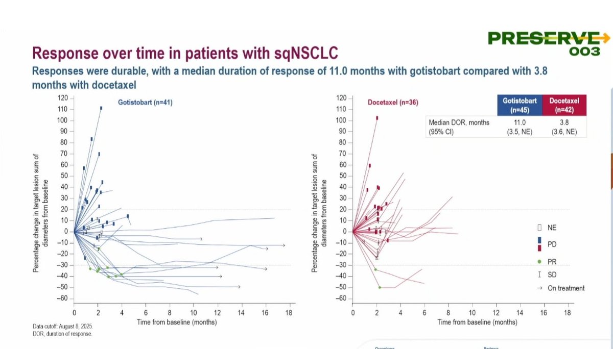 Roberto Ferrara tweet media