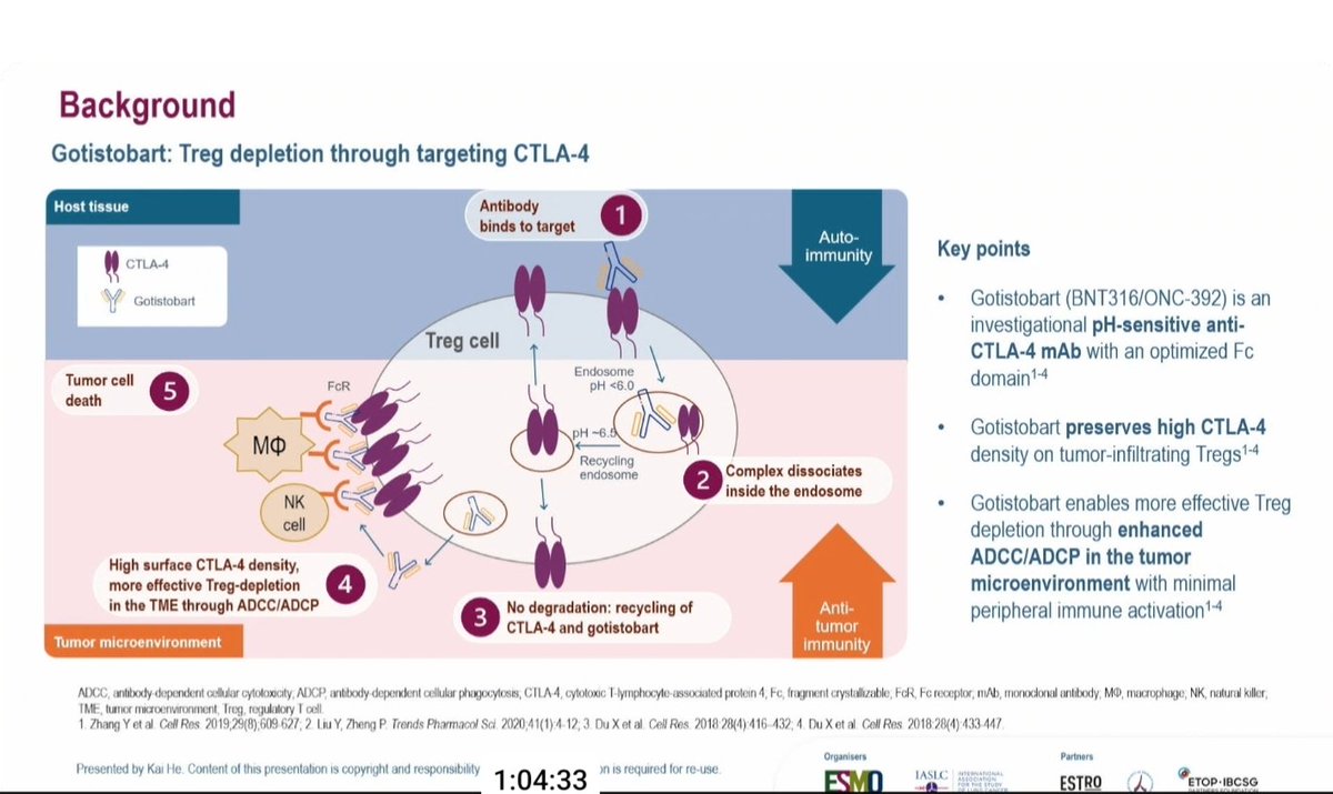Roberto Ferrara tweet media
