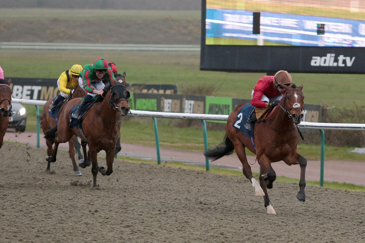 Billy Jackson Stops tweet media