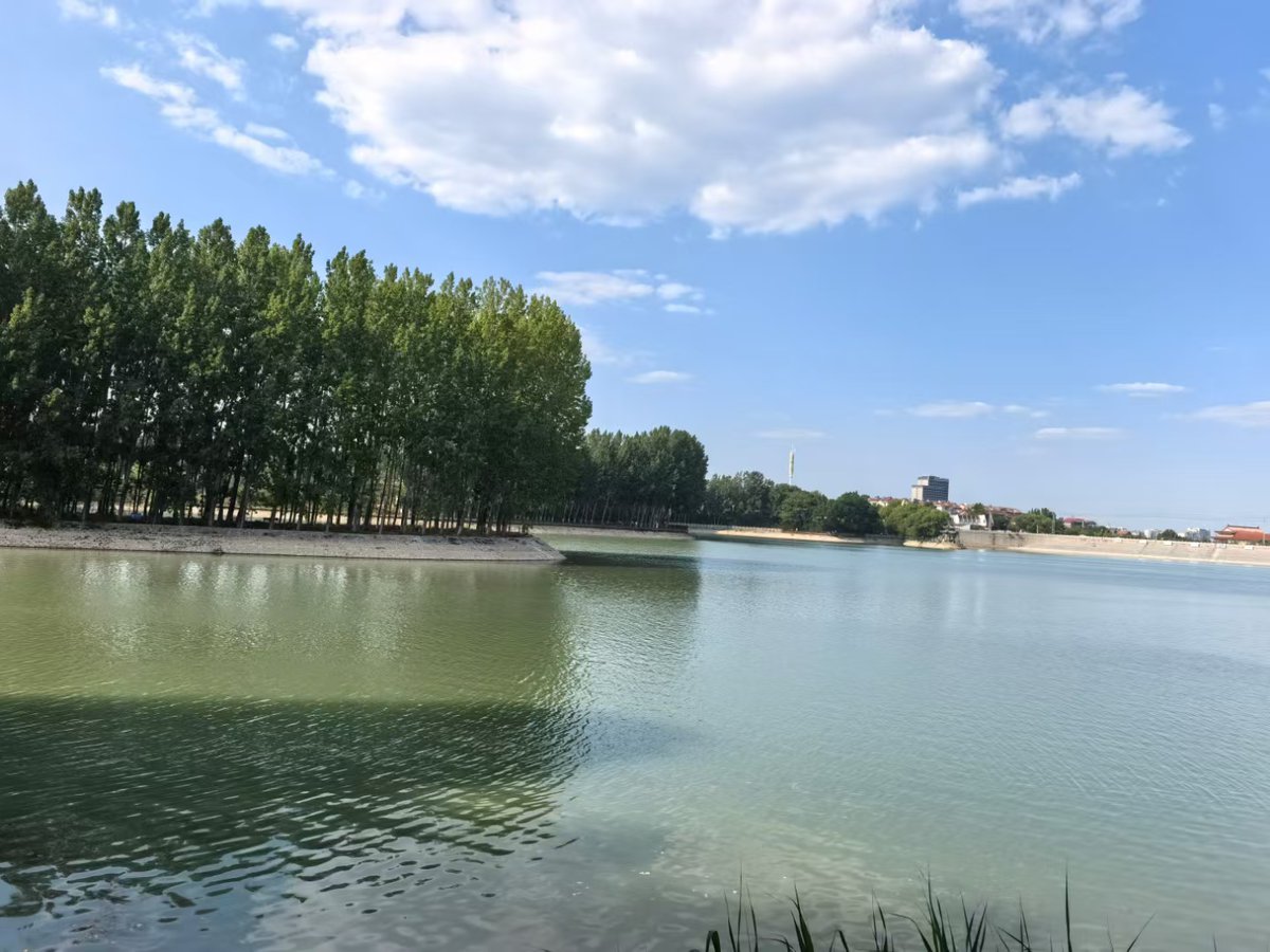 Anna Grubbs tweet media