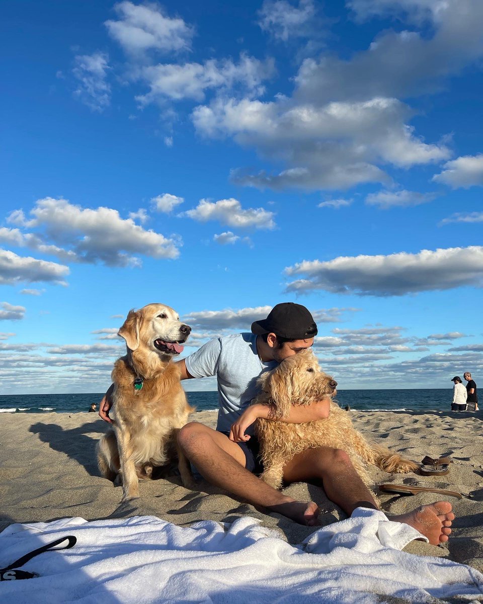 Aram Leighton tweet media