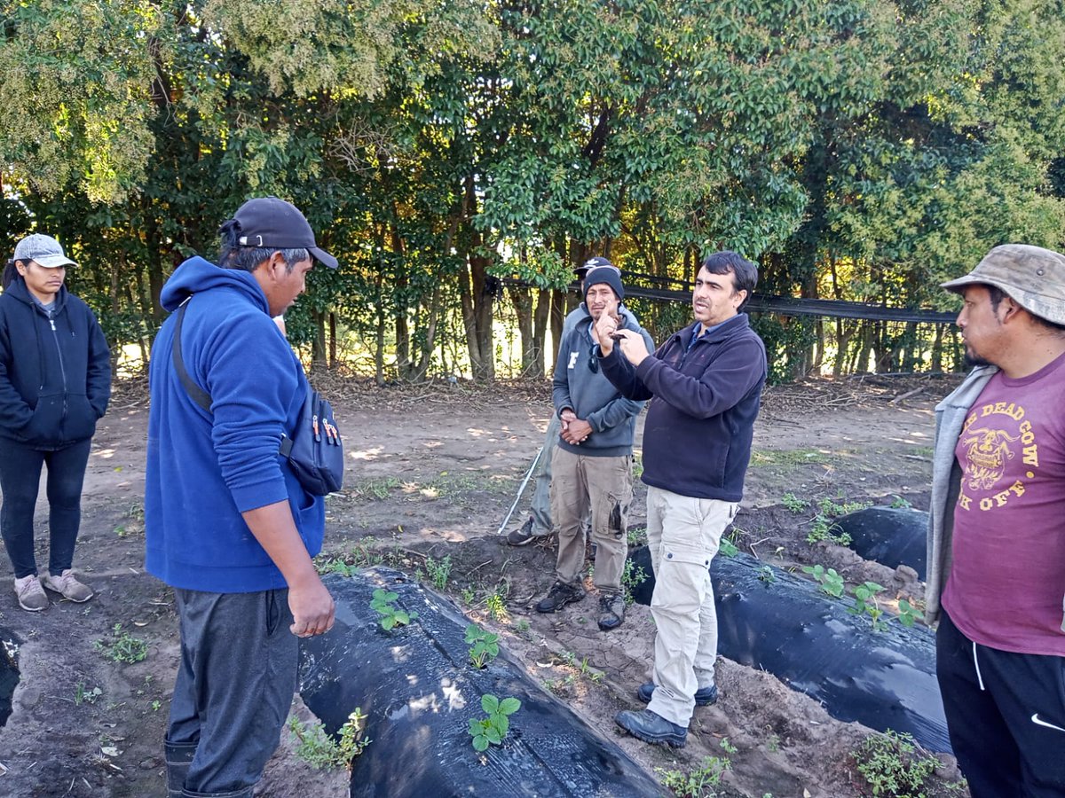 INTA San Pedro tweet media