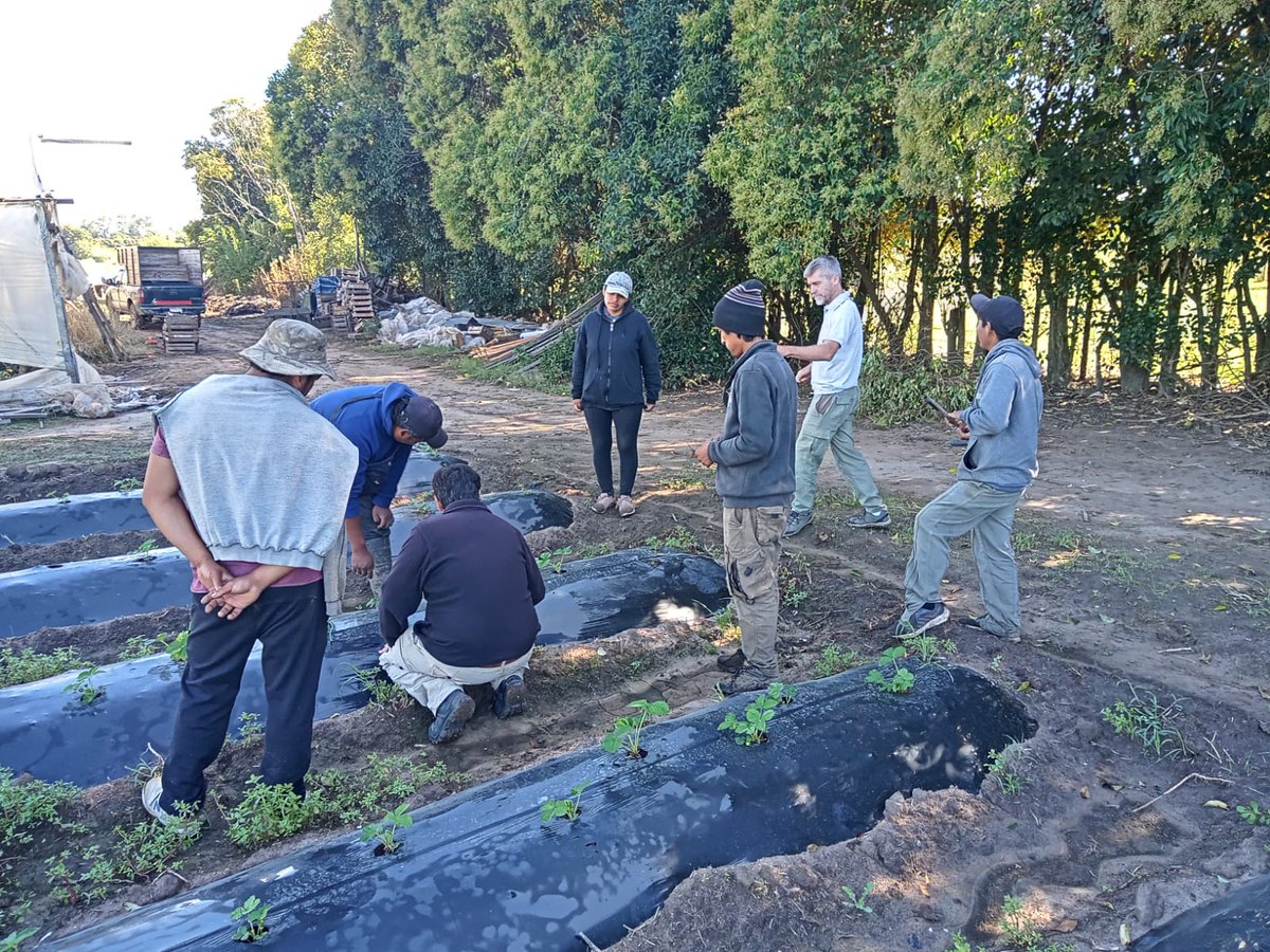 INTA San Pedro tweet media